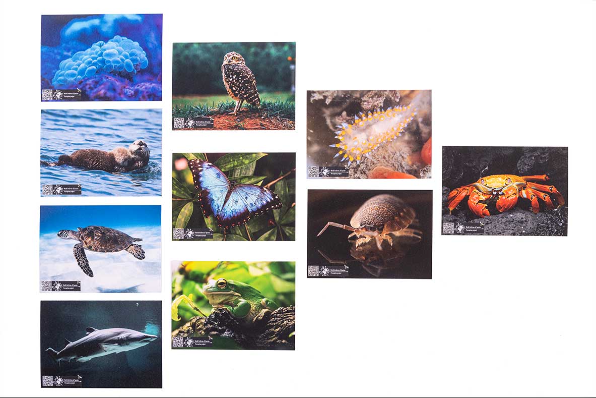 Postkaarten, world Archives of Species met QR-code